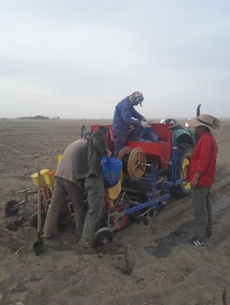 中商艾享 中商艾享