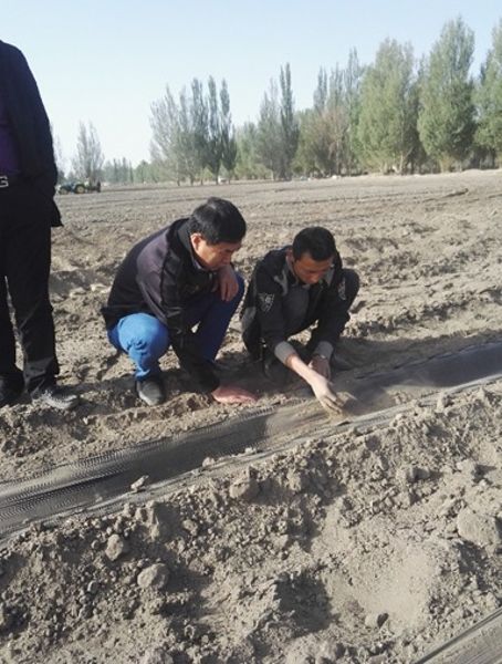 中商艾享2 中商艾享2