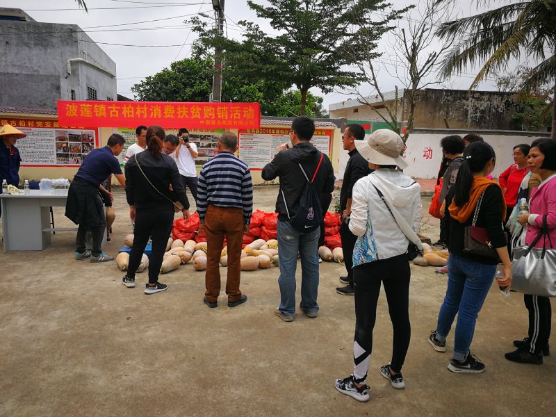 古柏村購銷活動現場 古柏村購銷活動現場